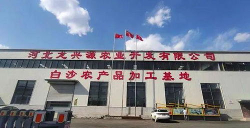 天天12條 愛心傳遞與政策調整，邯鄲展現溫暖城市形象